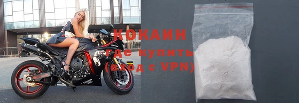 прущие грибы Краснослободск