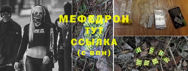 прущие грибы Краснослободск
